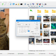 EF Commander 25.06 (2025) PC | + Portable