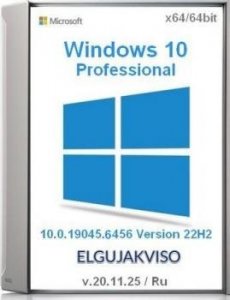 Windows 10 Pro 22H2 19045.6456 Elgujakviso Edition (v.20.11.25)