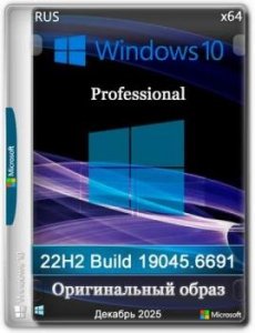 Windows 10 Pro 22H2 Build 19045.6691 Full Декабрь 2025