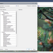 XnView MP 1.9.10 (2026) PC | + Portable