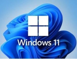 торрент windows